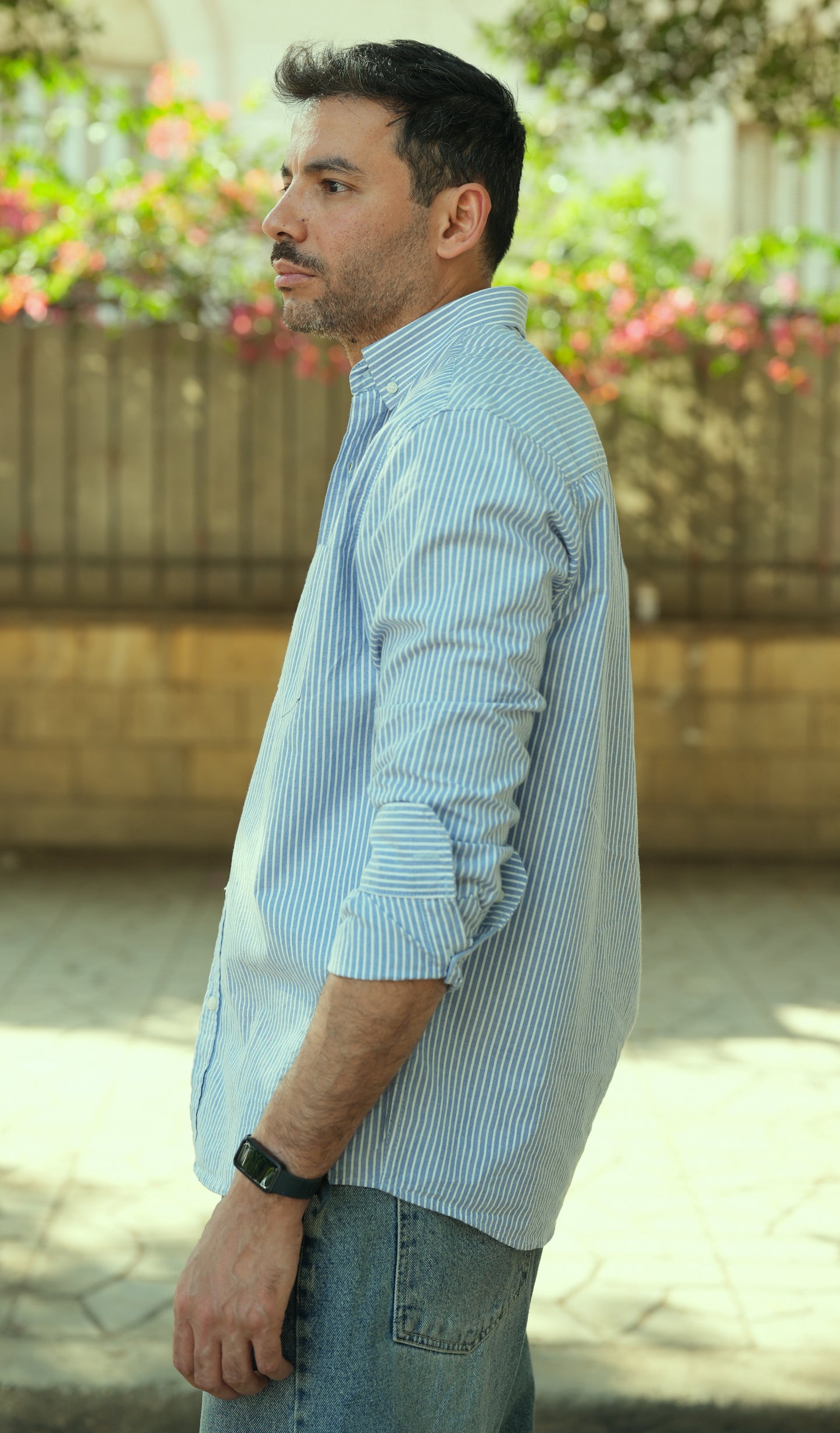 Button-up . Oxford shirt -Blue striped
