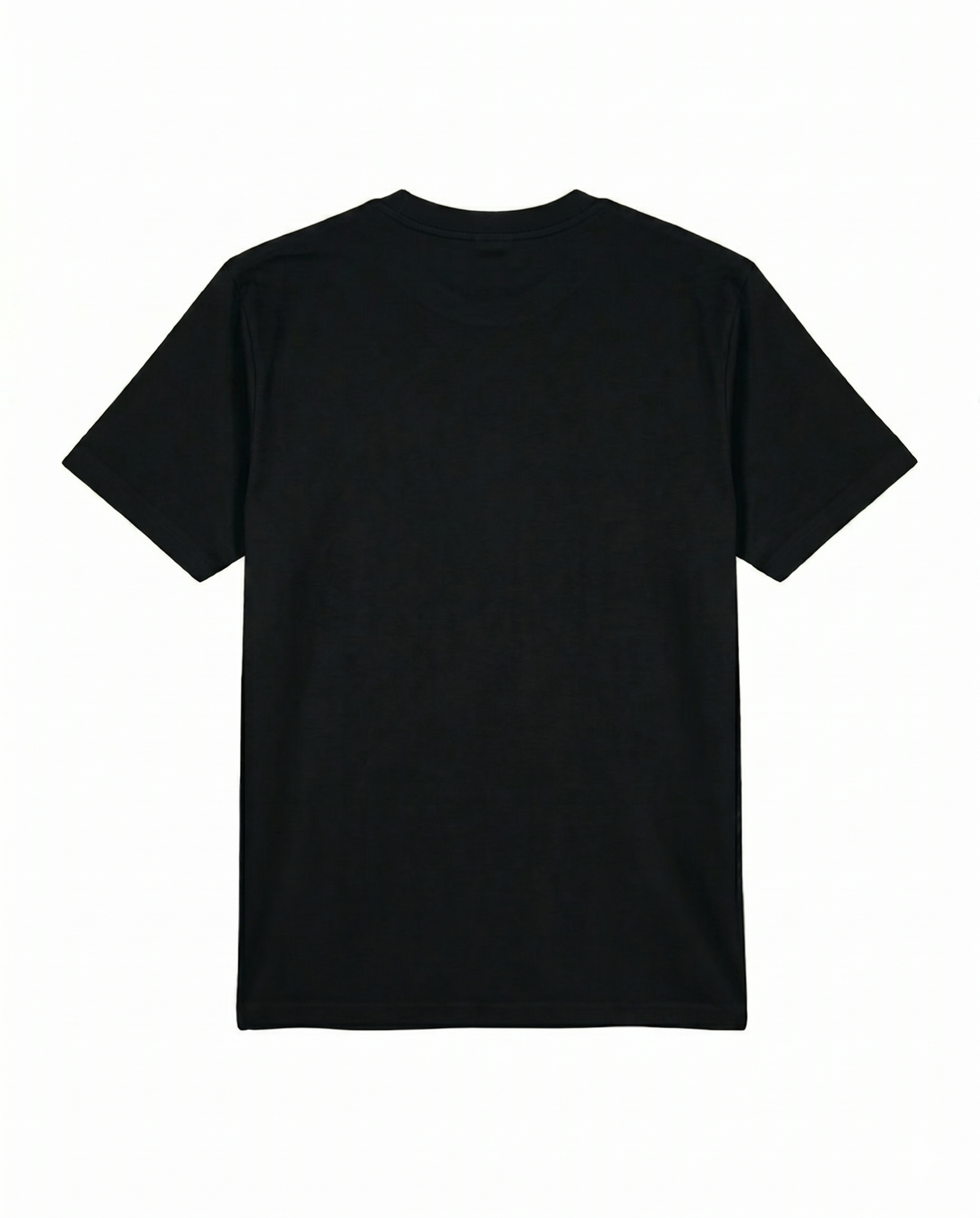 jersey t-shirt 100% premium cotton - Black
